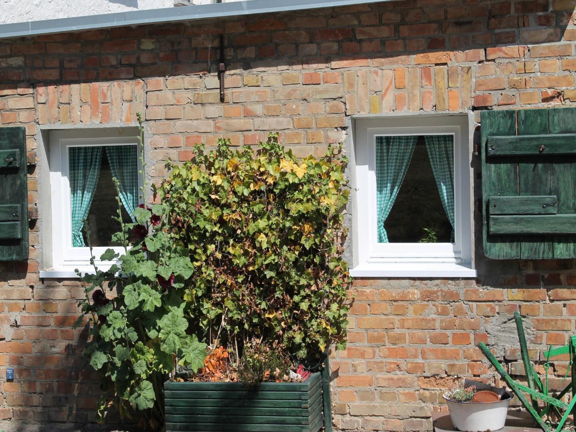 Beautiful Apartment In Damgarten With Garden リーブニッツ・ダムガルテン エクステリア 写真